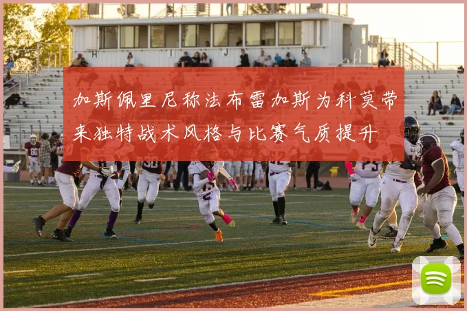 加斯佩里尼称法布雷加斯为科莫带来独特战术风格与比赛气质提升