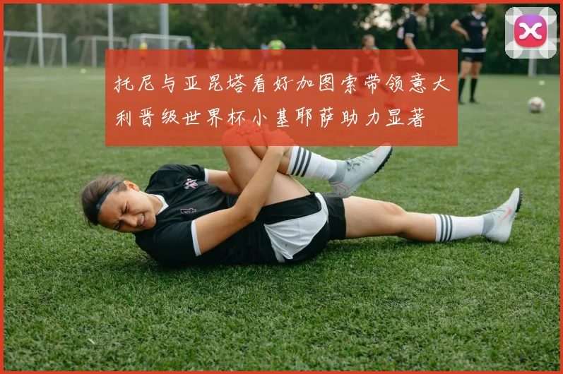 托尼与亚昆塔看好加图索带领意大利晋级世界杯小基耶萨助力显著