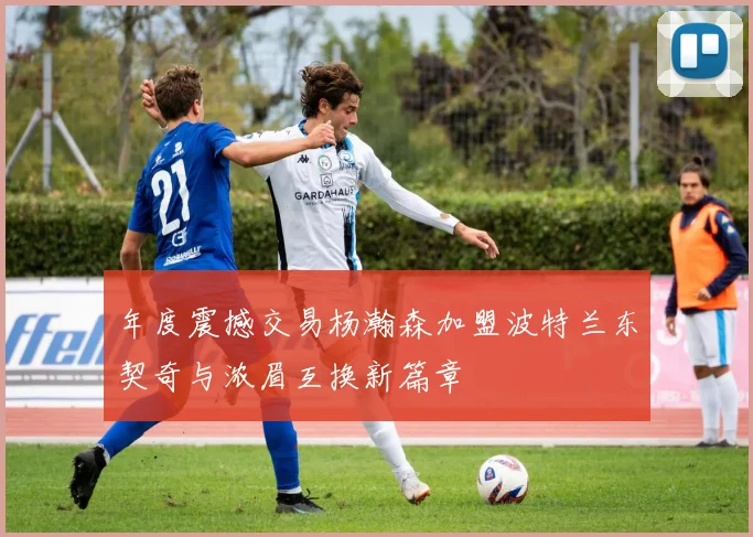 年度震撼交易杨瀚森加盟波特兰东契奇与浓眉互换新篇章