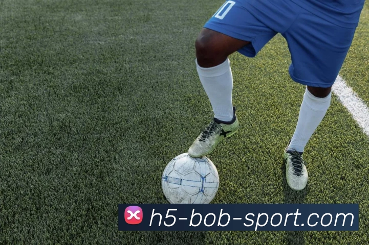 BOB体育APP 封面图